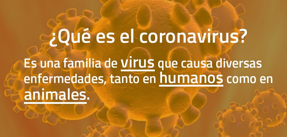 ¿Qué es el coronavirus?