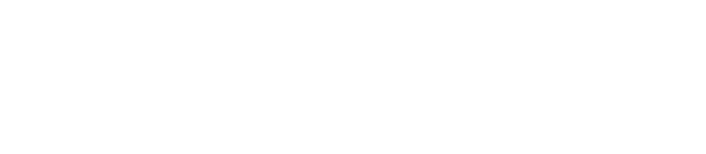 Delgado Lira